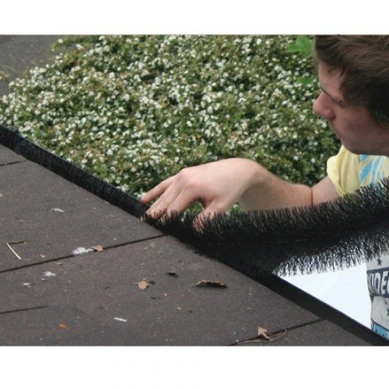 GB12 Gutter Brush 12 M GB12 Gutter Brush 12 M