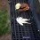 Hedgehog Gutter Brush