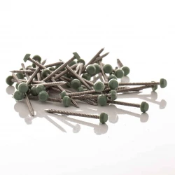 Chartwell Green Fixing Nails 50mm Small Plastic Head