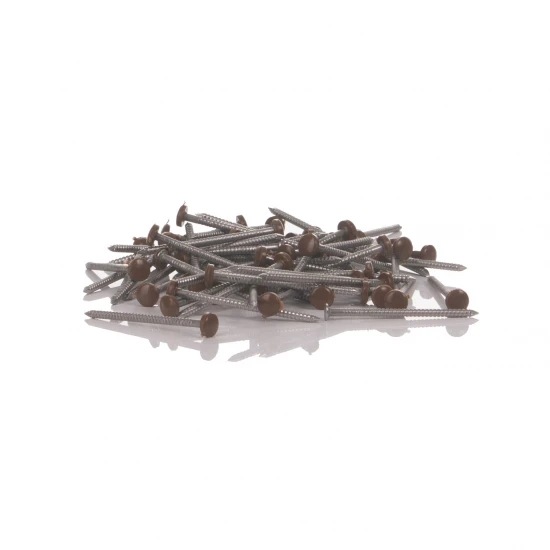 40mm Oak Pins 40mm Oak Pins