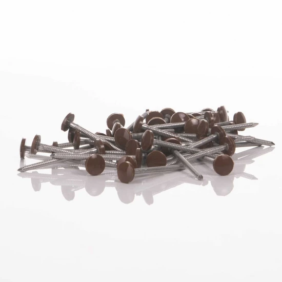 Oak Nails 50mm Plastic Head Top Pins - 100 Pieces